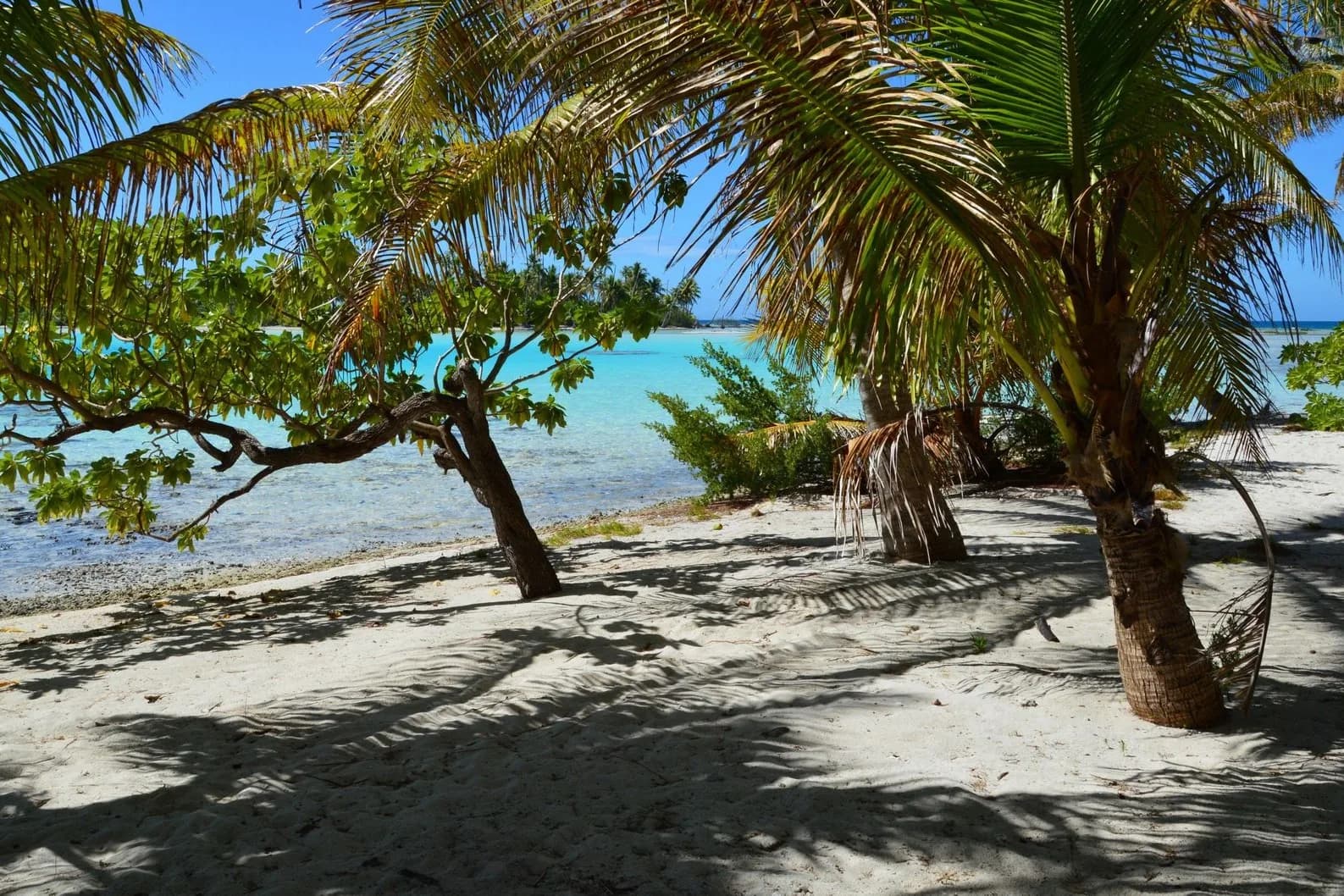Plage de sable blanc ombragée de cocotiers au bord d'un lagon turquoise