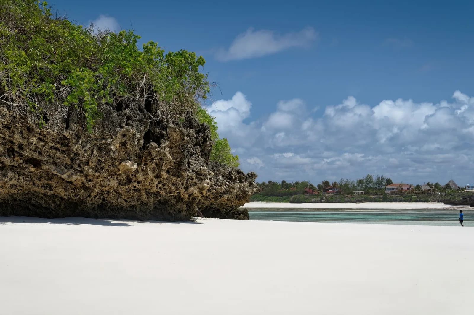 Plage de sable blanc au pied d'une falaise de corail couverte de végétation