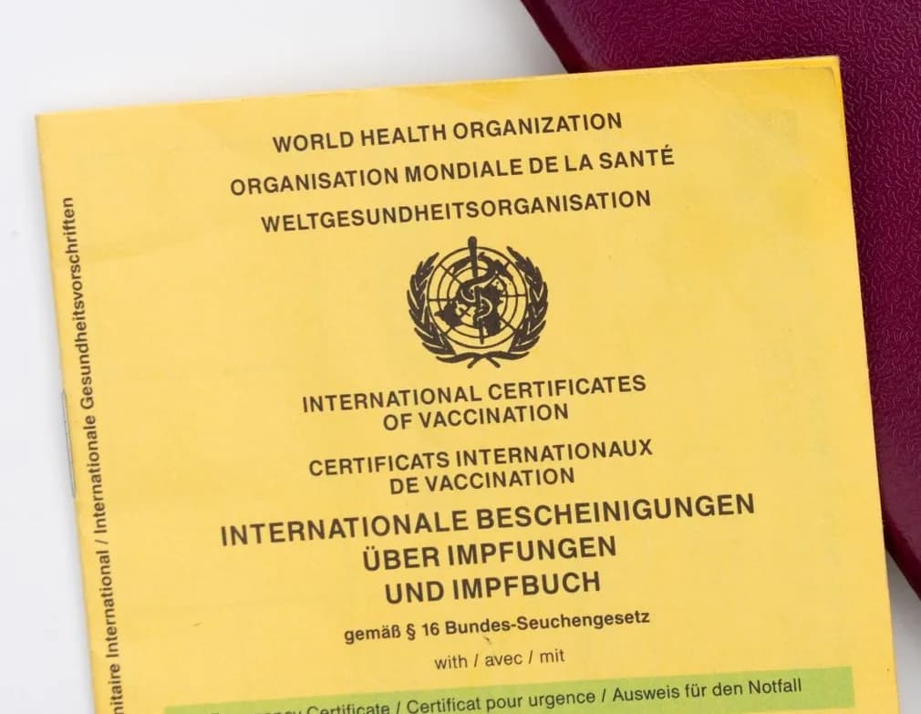 Carnet jaune de l'OMS, certificat international de vaccination contre la fièvre jaune demandé à l'entrée en Tanzanie