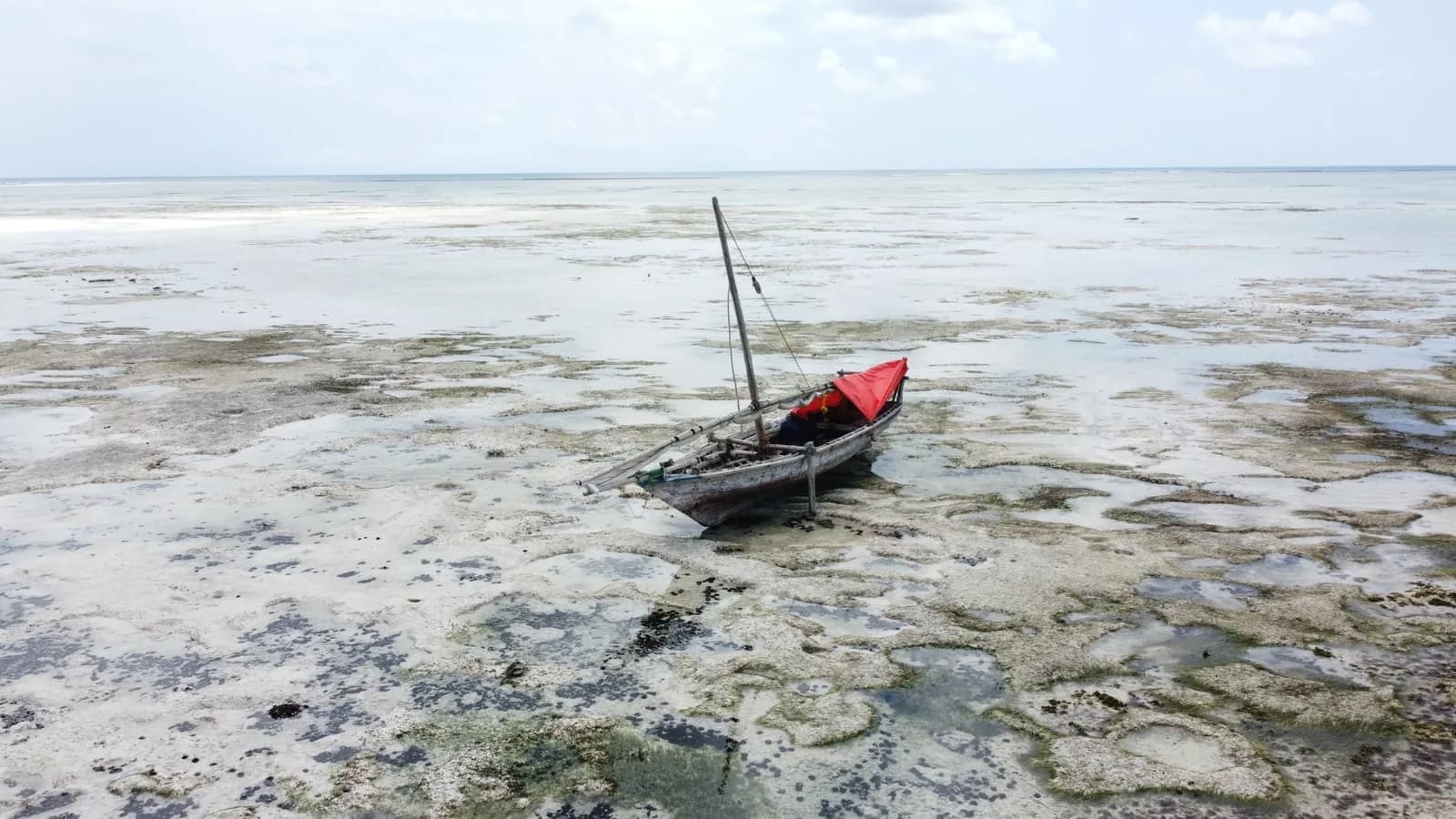 Lagon à marée basse, sable et algues découverts, mer retirée au loin, côte est de Zanzibar
