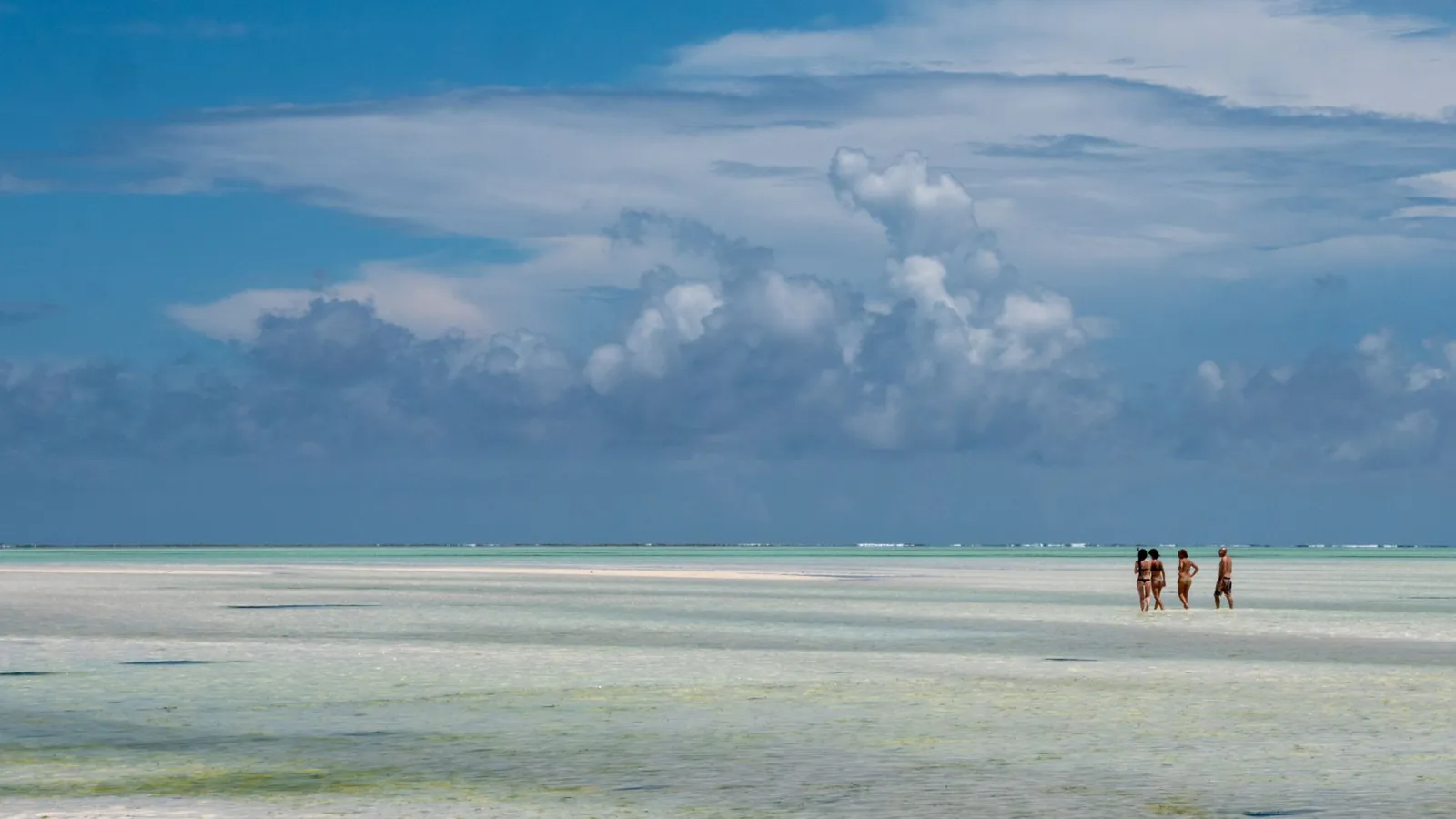 Baigneurs dans le lagon de Paje à marée basse, côte est de Zanzibar