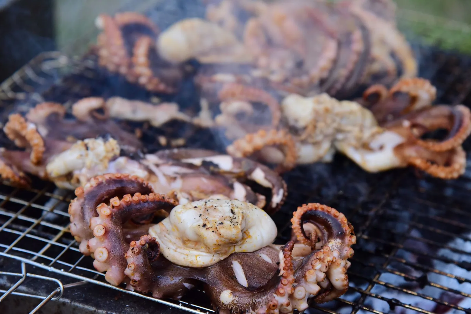 Poulpes grillés sur un barbecue en plein air
