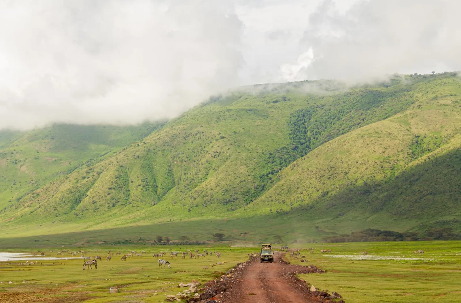 4x4 de safari sur une piste rouge et zèbres au fond du cratère du Ngorongoro, Tanzanie