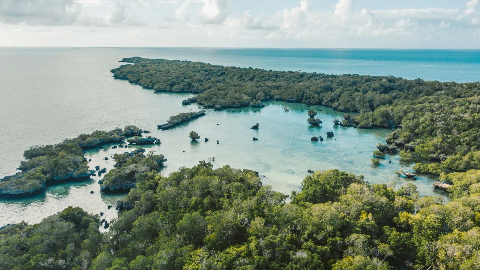 Plongée sous-marine aux récifs de Zanzibar