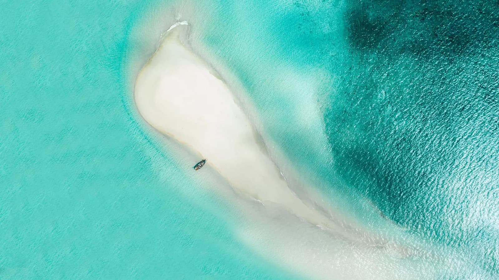 Banc de sable blanc émergeant du lagon turquoise lors d'un Safari Blue à Zanzibar