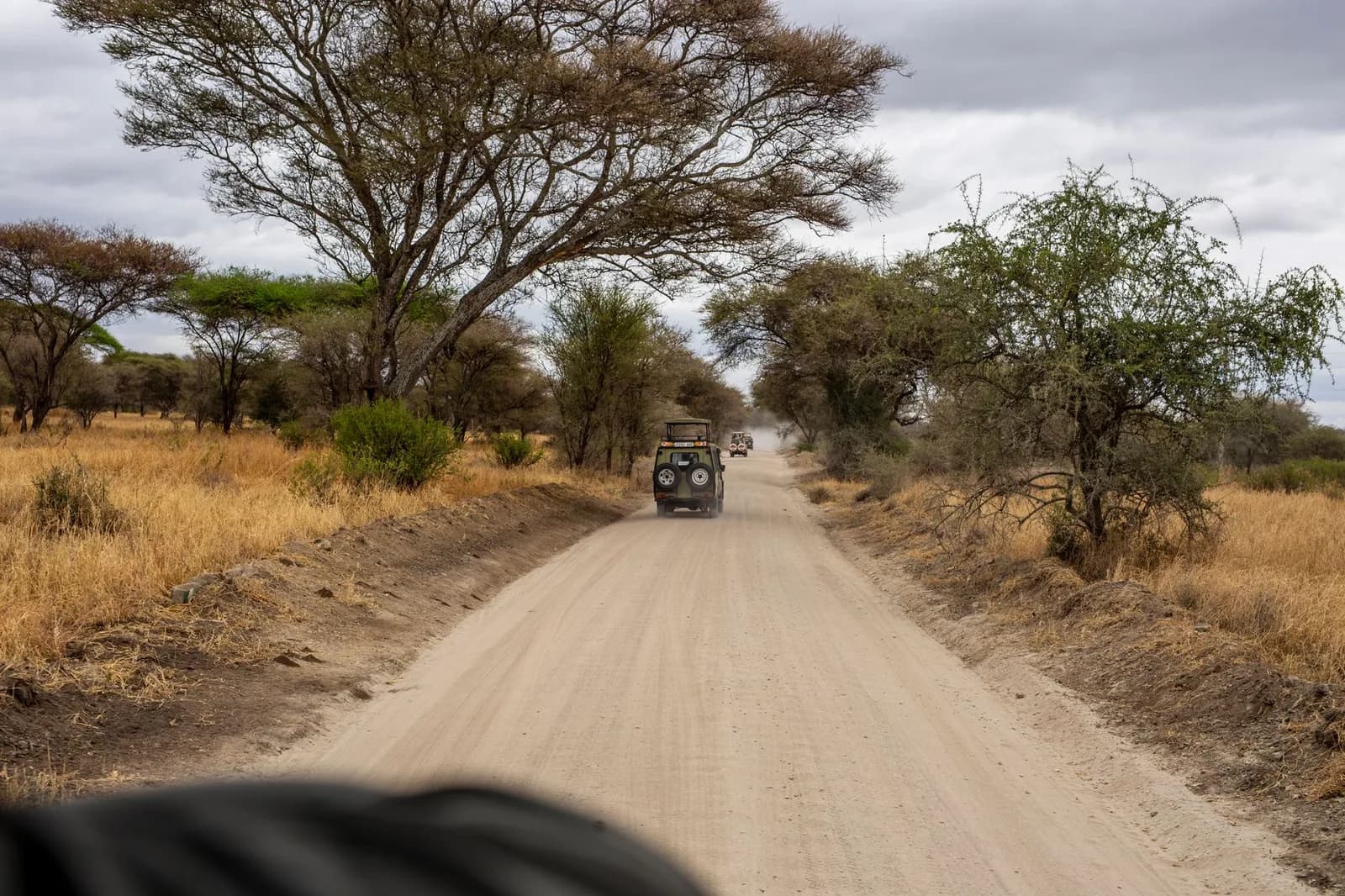 Safari en 4x4 face à la faune dans un parc du nord de la Tanzanie