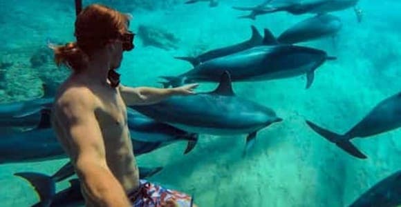 Mnemba en privé : dauphins et snorkeling